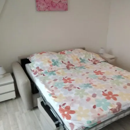 Apartment Celina *